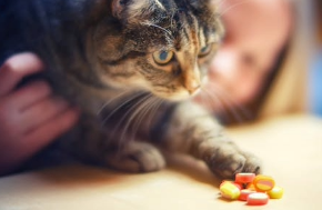 Picture for category Dietary Supplements